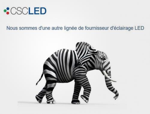 Nouveau manufacturier CSC LED